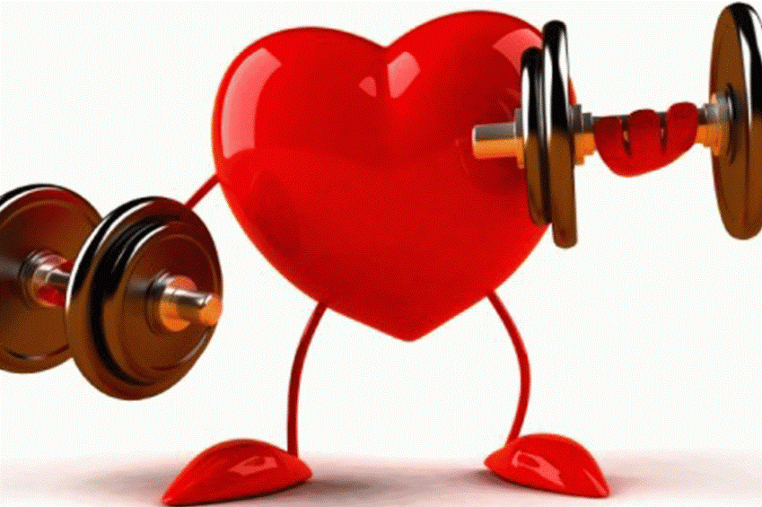 Физические упражнения и сердце